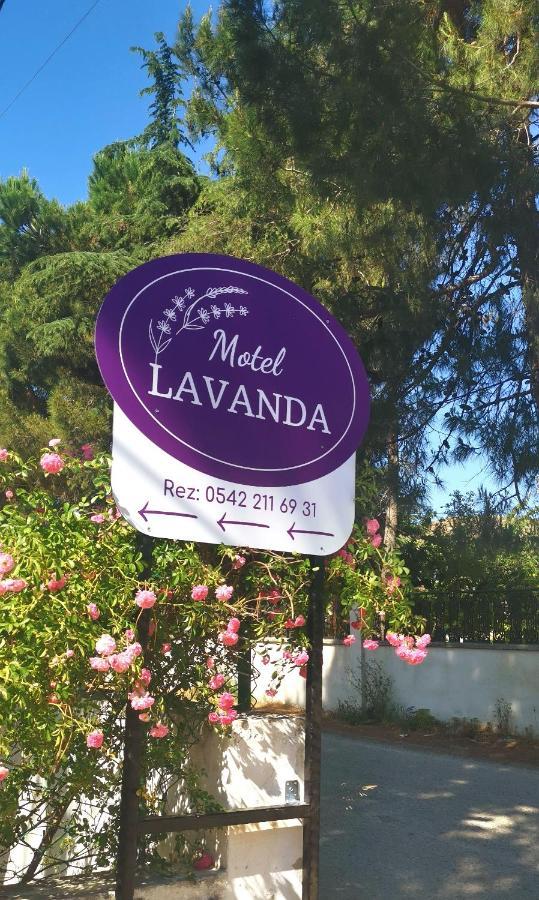 Motel Lavanda Türkeli Eksteriør bilde